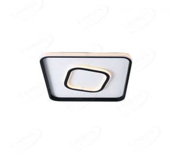 Combination LED Ceiling Light